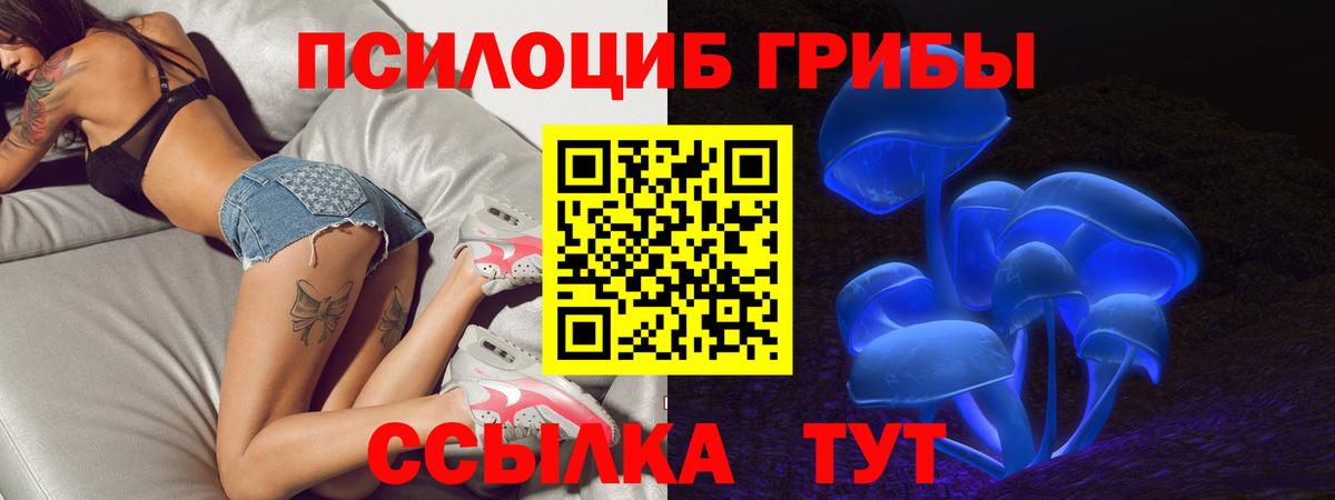 Галлюциногенные грибы Psilocybe  Псилоцибиновые грибы GOLDEN TEACHER  Усолье-Сибирское  Вход с VPN 
