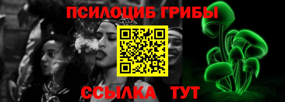 Галлюциногенные грибы Psilocybe Усолье-Сибирское